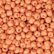 Seed beads 8/0 (3mm) Paradise orange